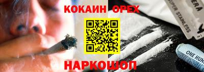 ПСИЛОЦИБИНОВЫЕ ГРИБЫ Гусев
